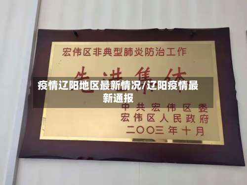 疫情辽阳地区最新情况/辽阳疫情最新通报-第3张图片