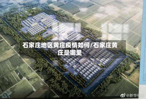 石家庄地区黄庄疫情如何/石家庄黄庄是哪里-第3张图片