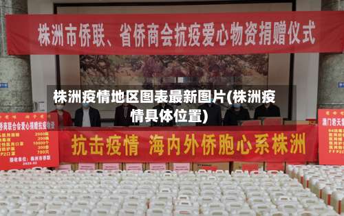 株洲疫情地区图表最新图片(株洲疫情具体位置)-第1张图片