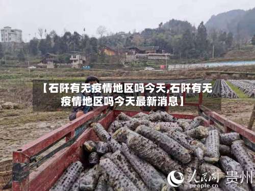 【石阡有无疫情地区吗今天,石阡有无疫情地区吗今天最新消息】-第1张图片