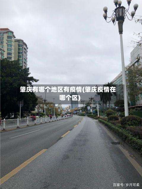 肇庆有哪个地区有疫情(肇庆疫情在哪个区)-第1张图片