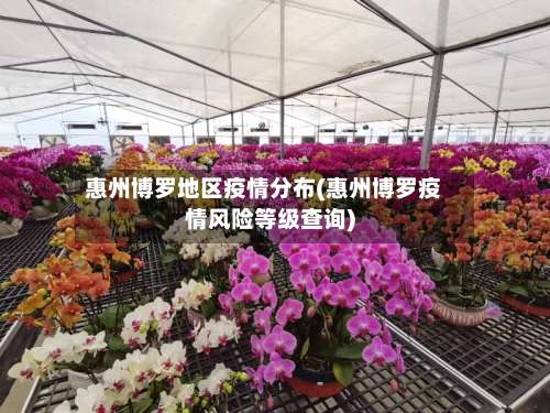 惠州博罗地区疫情分布(惠州博罗疫情风险等级查询)-第3张图片