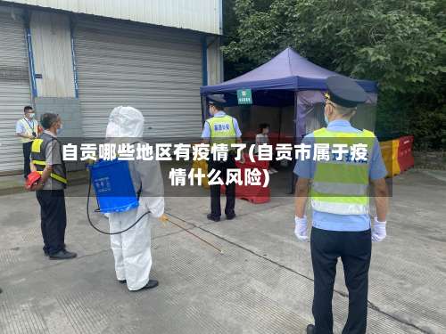 自贡哪些地区有疫情了(自贡市属于疫情什么风险)-第3张图片