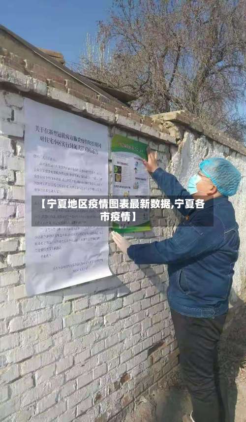【宁夏地区疫情图表最新数据,宁夏各市疫情】-第2张图片