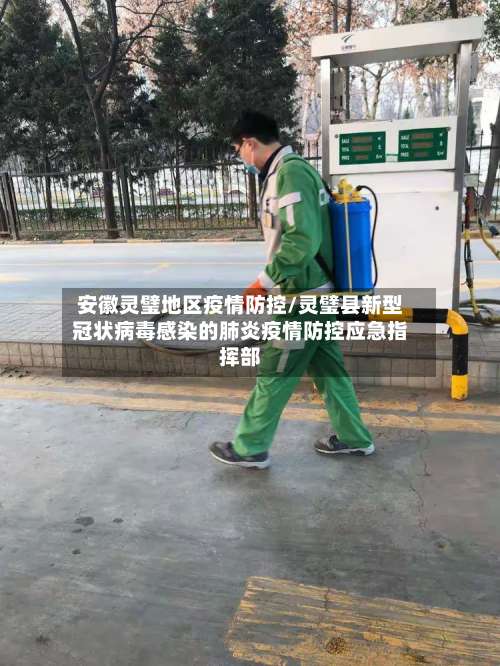 安徽灵璧地区疫情防控/灵璧县新型冠状病毒感染的肺炎疫情防控应急指挥部-第2张图片