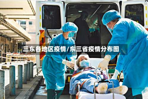 三东各地区疫情/东三省疫情分布图-第1张图片