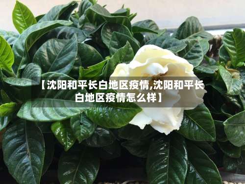 【沈阳和平长白地区疫情,沈阳和平长白地区疫情怎么样】-第1张图片