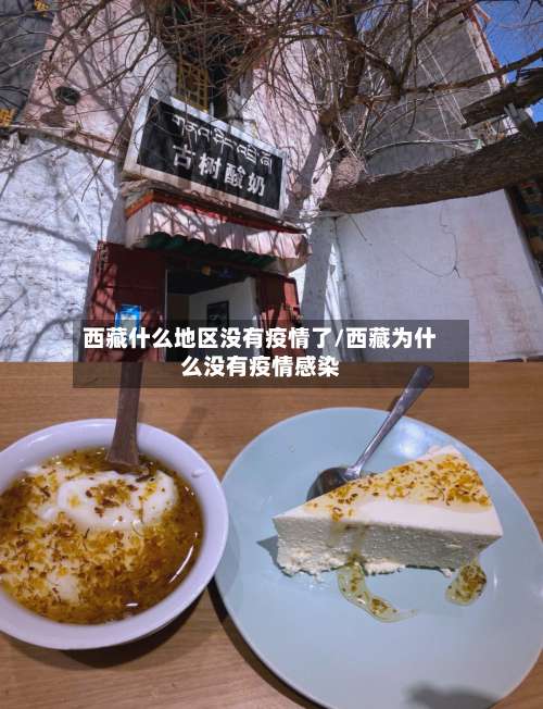 西藏什么地区没有疫情了/西藏为什么没有疫情感染-第2张图片