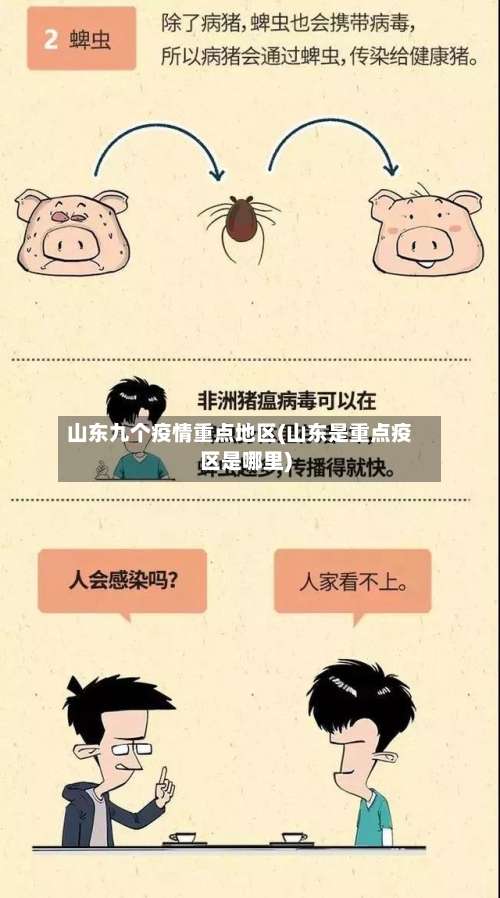 山东九个疫情重点地区(山东是重点疫区是哪里)-第1张图片