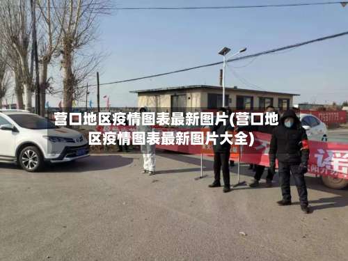 营口地区疫情图表最新图片(营口地区疫情图表最新图片大全)-第1张图片