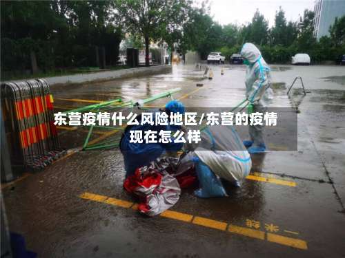 东营疫情什么风险地区/东营的疫情现在怎么样-第1张图片