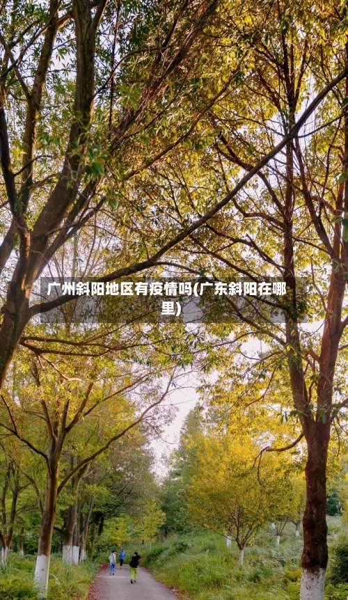 广州斜阳地区有疫情吗(广东斜阳在哪里)-第2张图片