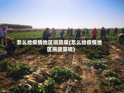 怎么给疫情地区捐蔬菜(怎么给疫情地区捐蔬菜呢)-第3张图片