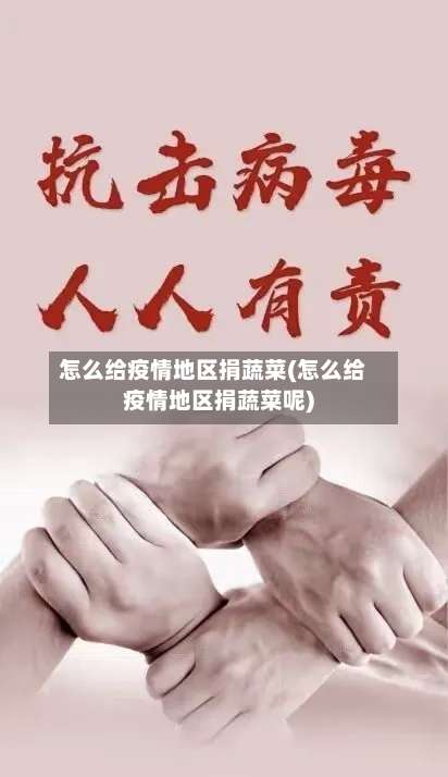 怎么给疫情地区捐蔬菜(怎么给疫情地区捐蔬菜呢)-第2张图片