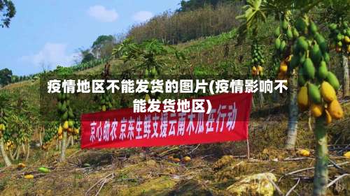 疫情地区不能发货的图片(疫情影响不能发货地区)-第2张图片
