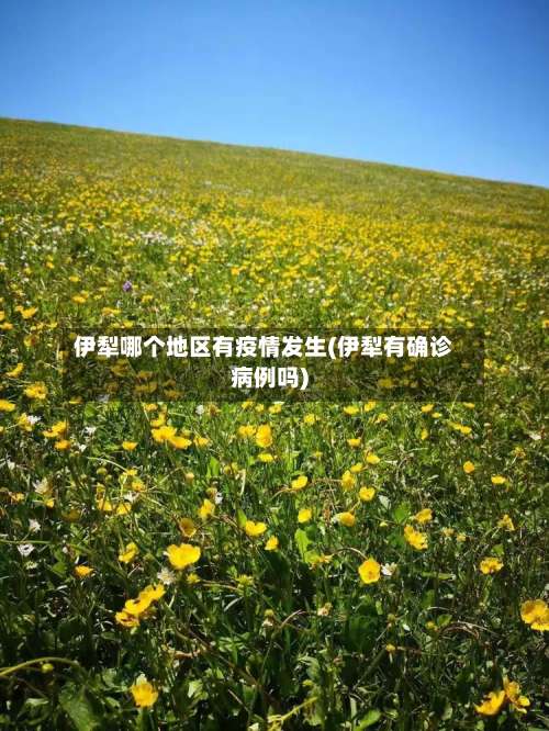 伊犁哪个地区有疫情发生(伊犁有确诊病例吗)-第3张图片