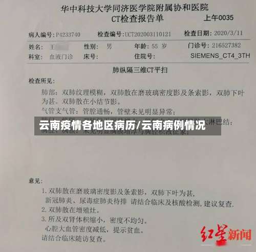 云南疫情各地区病历/云南病例情况-第2张图片