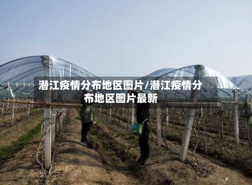 潜江疫情分布地区图片/潜江疫情分布地区图片最新-第3张图片