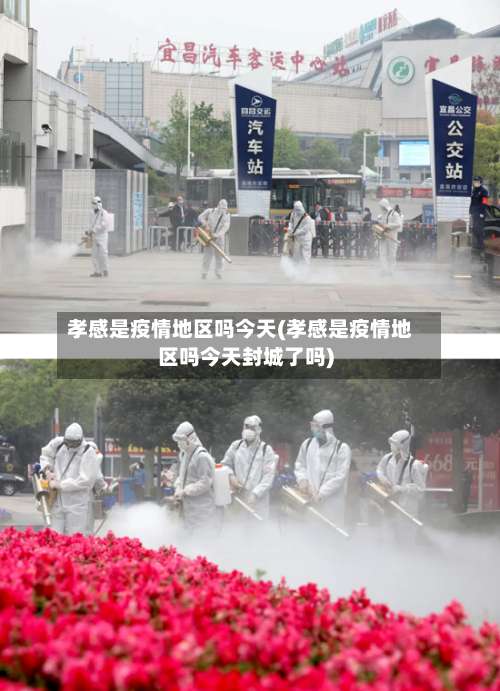 孝感是疫情地区吗今天(孝感是疫情地区吗今天封城了吗)-第2张图片