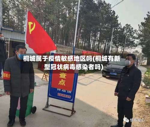 桐城属于疫情敏感地区吗(桐城有新型冠状病毒感染者吗)-第1张图片