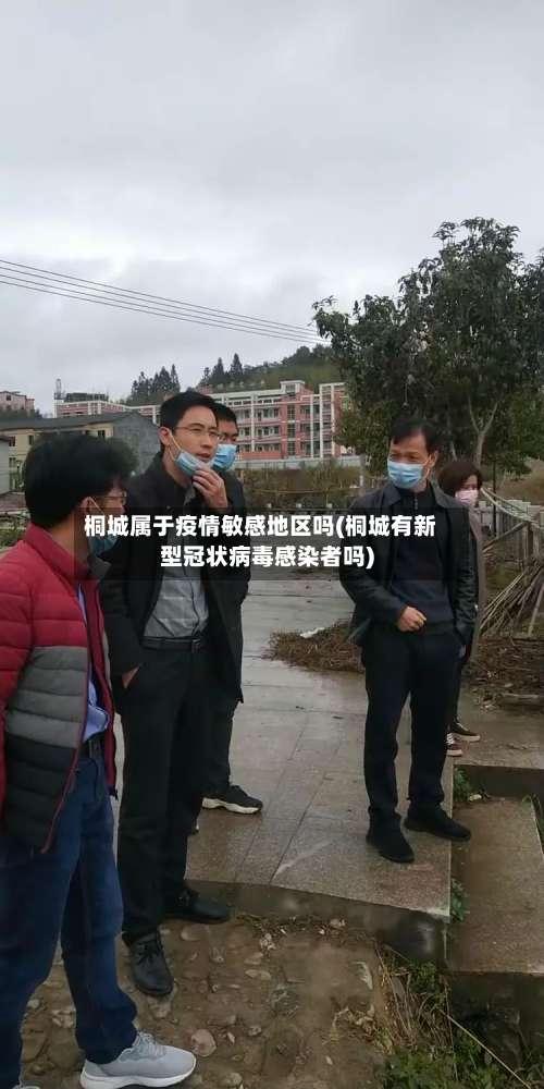 桐城属于疫情敏感地区吗(桐城有新型冠状病毒感染者吗)-第2张图片