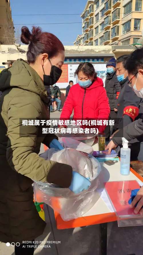 桐城属于疫情敏感地区吗(桐城有新型冠状病毒感染者吗)-第3张图片