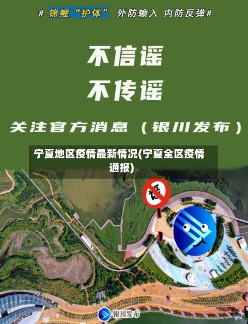 宁夏地区疫情最新情况(宁夏全区疫情通报)-第3张图片