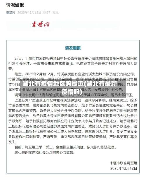 湖北有疫情地区吗最近(湖北有最新疫情吗)-第3张图片