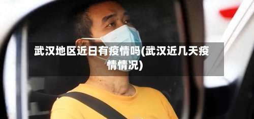 武汉地区近日有疫情吗(武汉近几天疫情情况)-第1张图片