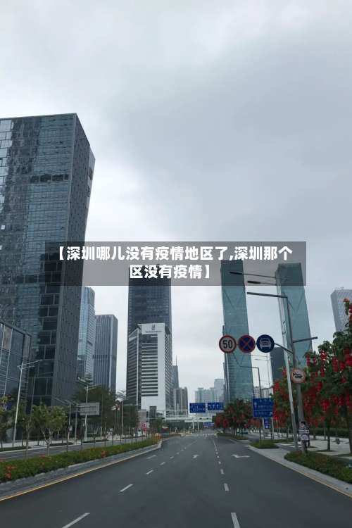 【深圳哪儿没有疫情地区了,深圳那个区没有疫情】-第1张图片