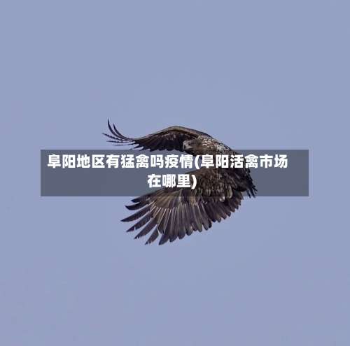 阜阳地区有猛禽吗疫情(阜阳活禽市场在哪里)-第1张图片