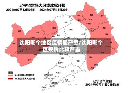 沈阳哪个地区疫情最严重/沈阳哪个区疫情比较严重-第3张图片