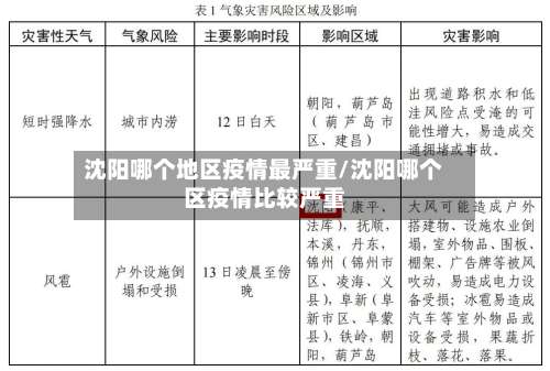 沈阳哪个地区疫情最严重/沈阳哪个区疫情比较严重-第1张图片