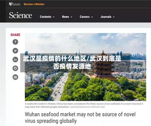 武汉是疫情的什么地区/武汉到底是否疫情发源地-第2张图片