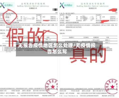 无报告疫情地区怎么处理/无疫情报告怎么写-第1张图片