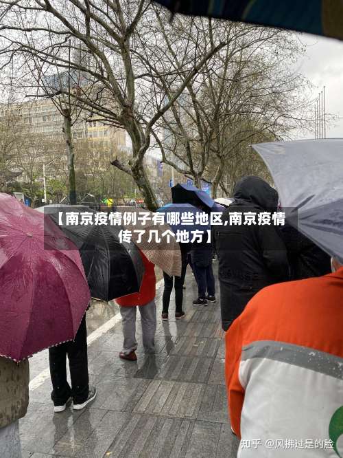 【南京疫情例子有哪些地区,南京疫情传了几个地方】-第3张图片