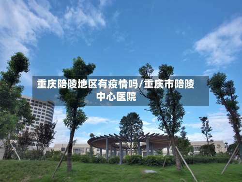 重庆陪陵地区有疫情吗/重庆市陪陵中心医院-第3张图片