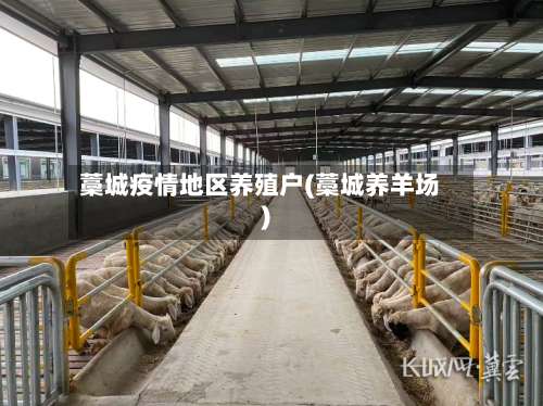 藁城疫情地区养殖户(藁城养羊场)-第1张图片