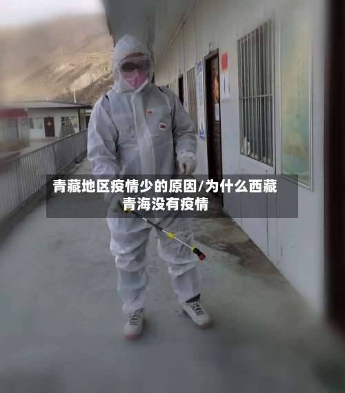 青藏地区疫情少的原因/为什么西藏青海没有疫情-第1张图片