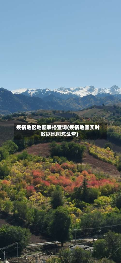 疫情地区地图表格查询(疫情地图实时数据地图怎么查)-第2张图片
