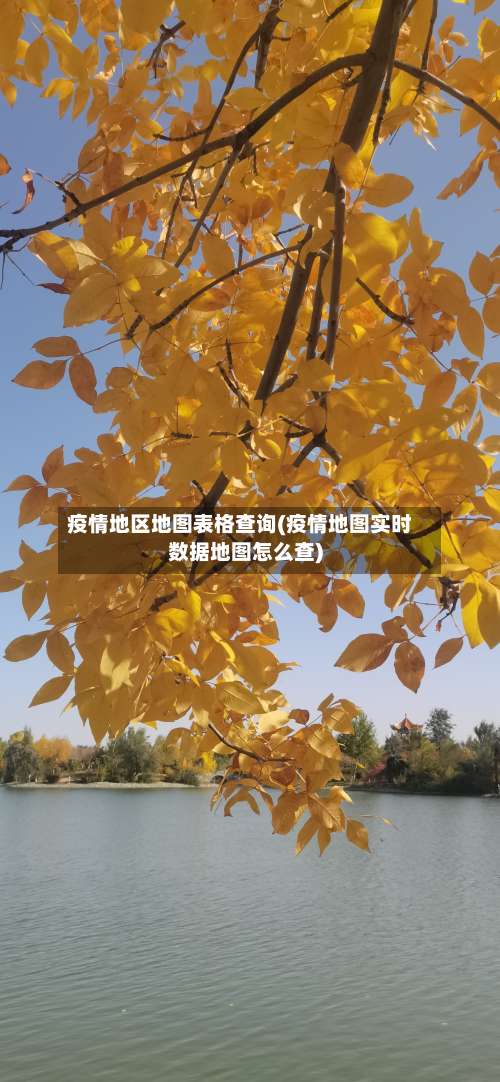 疫情地区地图表格查询(疫情地图实时数据地图怎么查)-第3张图片