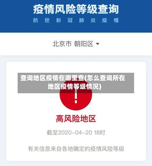 查询地区疫情在哪里查(怎么查询所在地区疫情等级情况)-第3张图片