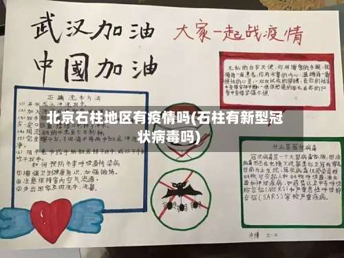 北京石柱地区有疫情吗(石柱有新型冠状病毒吗)-第3张图片