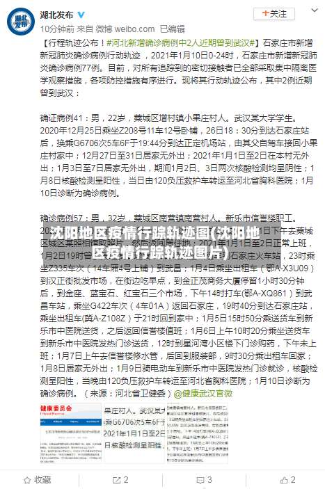 沈阳地区疫情行踪轨迹图(沈阳地区疫情行踪轨迹图片)-第1张图片