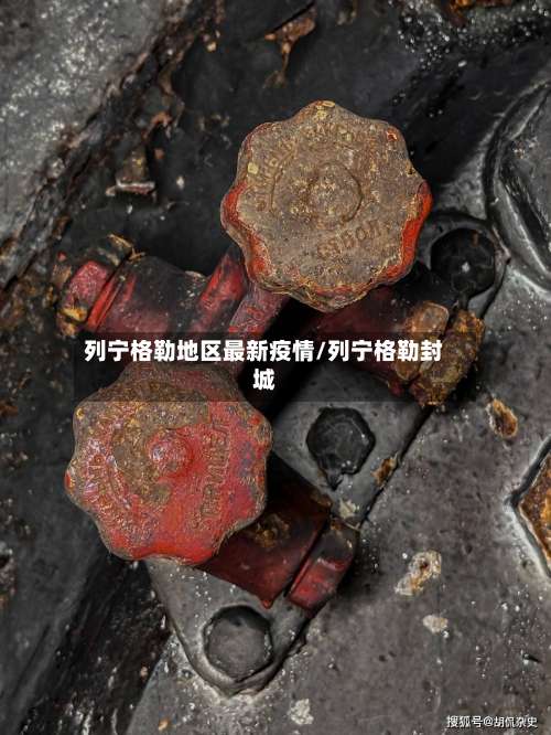 列宁格勒地区最新疫情/列宁格勒封城-第2张图片