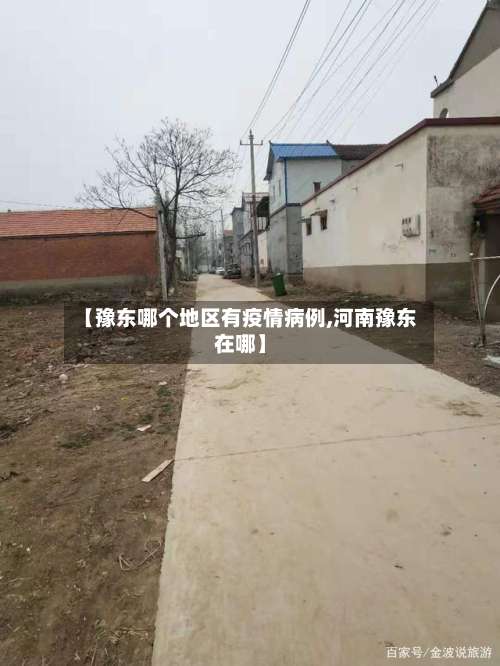 【豫东哪个地区有疫情病例,河南豫东在哪】-第2张图片