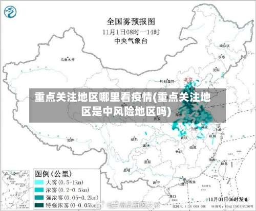 重点关注地区哪里看疫情(重点关注地区是中风险地区吗)-第1张图片
