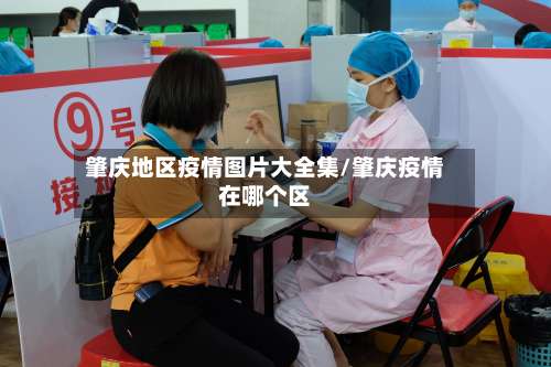 肇庆地区疫情图片大全集/肇庆疫情在哪个区-第1张图片