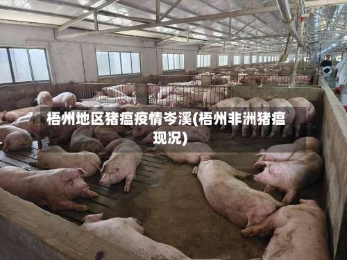 梧州地区猪瘟疫情岑溪(梧州非洲猪瘟现况)-第2张图片