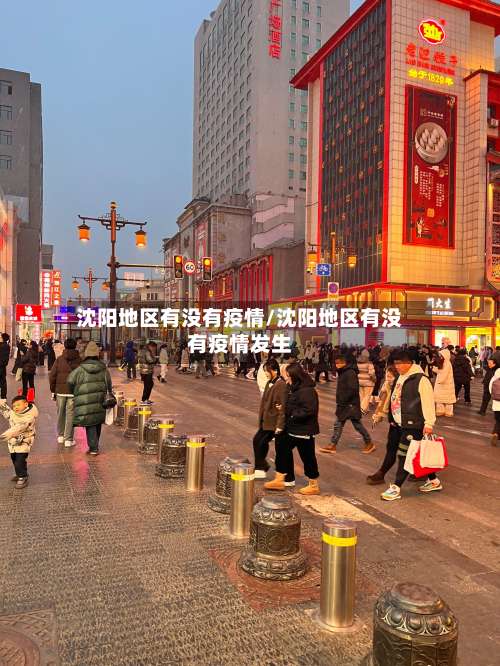 沈阳地区有没有疫情/沈阳地区有没有疫情发生-第2张图片